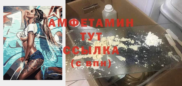 apvp Горняк
