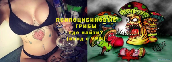 не бодяженный Горно-Алтайск