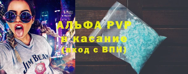 apvp Горняк