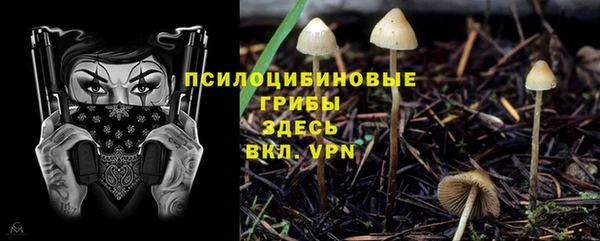 не бодяженный Горно-Алтайск