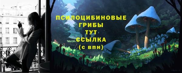 apvp Горняк