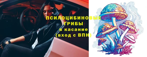 apvp Горняк