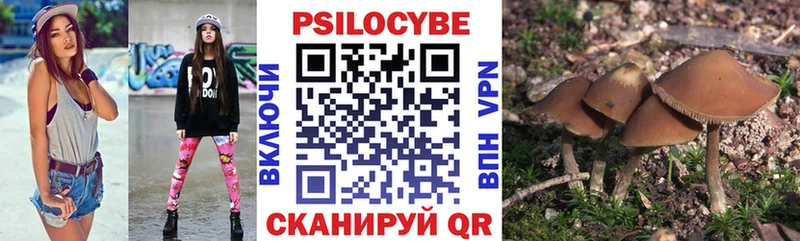 Псилоцибиновые грибы мицелий  hydra ссылка  Галич 